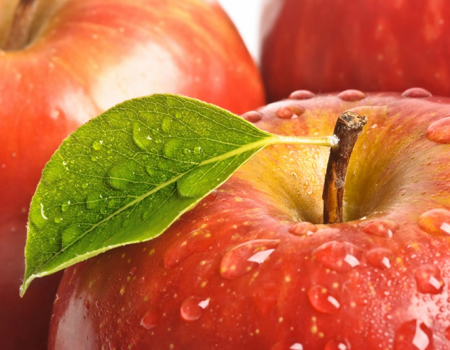 Descubre cómo conservar tus manzanas frescas y sabrosas