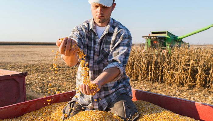 5 cosas que debes saber de la agricultura en los Estados Unidos