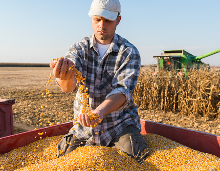 5 cosas que debes saber de la agricultura en los Estados Unidos