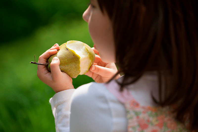 Imaginativo Piquete cocinar una comida Beneficios de la pera en los niños – Descúbrelos con SaborUSA