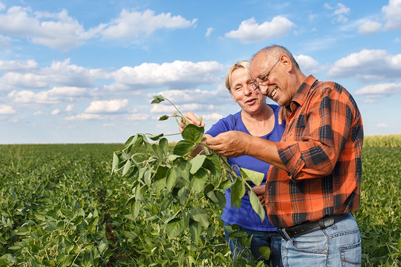 Agricultura sostenible