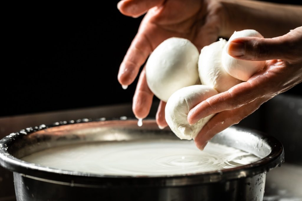 preparación queso mozzarella